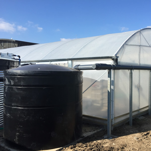 me_irrigation_rainwater_harvesting