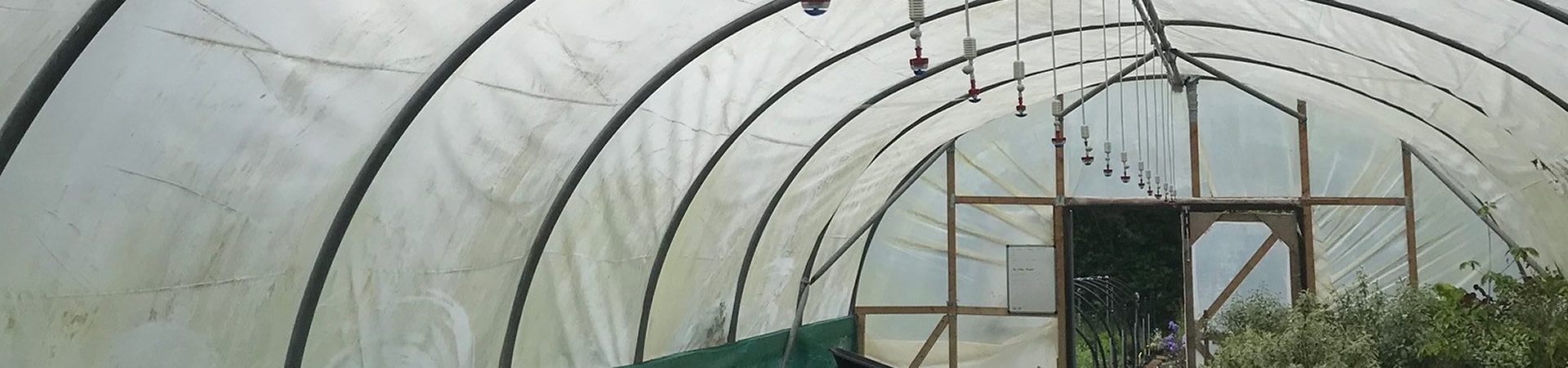 nursery_irrigation_top